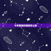 今年属猪的姻缘怎么样，属猪的男人命运和婚姻怎么样