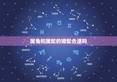 属兔和属蛇的婚配合适吗，属兔和属蛇相配吗？