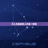 大人天珠和贵人天珠一样吗，天珠佩戴禁忌与属相
