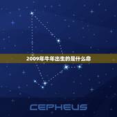 2009年牛年出生的是什么命，2009年属牛是什么命