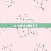 龙和虎的婚配属相合吗，生肖龙和虎相配吗？