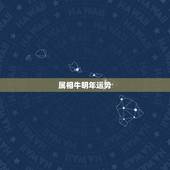 属相牛明年运势，1985属牛未来十年运势