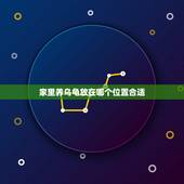 家里养乌龟放在哪个位置合适，乌龟放在家里什么地方好