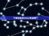 丁卯日柱女2022年运势，丁卯日柱精论新增