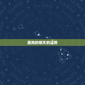 属狗的明天的运势，属狗人在昨日的运势