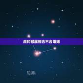 虎和猴属相合不合婚姻，属猴和属虎的夫妻多吗