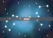 2022 年丙寅日生人运势，丙寅日生于申月好不好