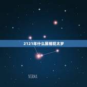 2121年什么属相犯太岁，2021什么属相犯太岁表