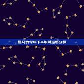 属马的今年下半年财运怎么样，属马今年什么颜色旺财
