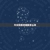 牛女和男虎婚配怎么样，牛跟虎属相婚配如何