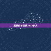 属猴的年龄表2022多大，80年属猴女2022年运势