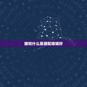 猪和什么属相配婚姻好，猪跟什么属相配