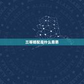 三等婚配是什么意思，八字合婚当中，婚姻派对中的三等婚是指？