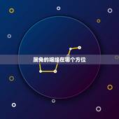属兔的姻缘在哪个方位，2022 年兔男桃花方位