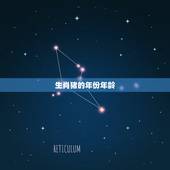 生肖猪的年份年龄，属猪的年龄表2022 多大