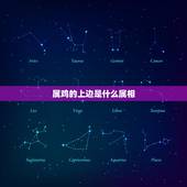 属鸡的上边是什么属相，1986年属虎是什么命今年会离婚吗