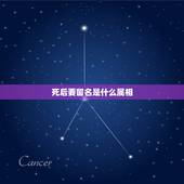 死后要留名是什么属相，欲钱买死后要留名的生肖。是什么动物？