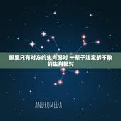 眼里只有对方的生肖配对 一辈子注定拆不散的生肖配对