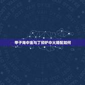 甲子海中金与丁卯炉中火婚配如何，海中金和炉中火结婚后咋化解