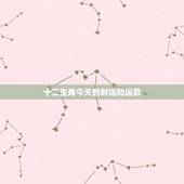 十二生肖今天的财运和运势，十二生肖运程运势