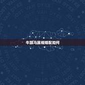 牛跟马属相婚配如何，属马和属牛的可以在一起么？
