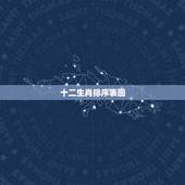 十二生肖排序表图，12生肖顺序年龄