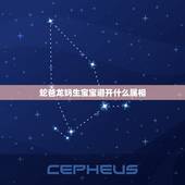 蛇爸龙妈生宝宝避开什么属相，龙妈蛇爸生个属什么的宝贝