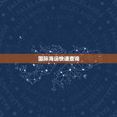 国际海运快递查询，如何查询国际海运包裹情况，包裹号码：cp212678