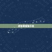 虎年男宝宝小名，宝宝小名男女通用
