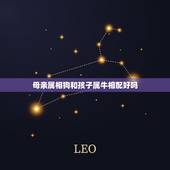 母亲属相狗和孩子属牛相配好吗，属狗和属牛的相配吗？