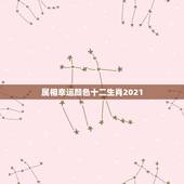 属相幸运颜色十二生肖2021，2021属龙的幸运颜色