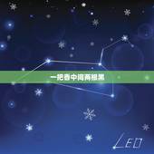 一把香中间两根黑，给仙家上香，中间几根头黑，咋回事