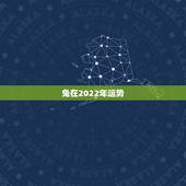 兔在2022年运势，1963年属兔男2022年每月运程