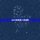 2022年双鱼11月运势，2021年双鱼座每个月份运势