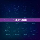 12生肖11月运势，12生肖运势