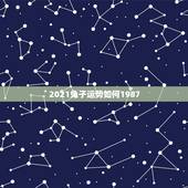 2021兔子运势如何1987，属兔的人今年财运怎么样2021年？