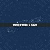 发财树发黄掉叶子怎么办，发财树叶子发黄掉落怎么办？如何补救