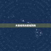 夫妻相克的属相鸡狗，怎样化解鸡狗相克