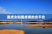 属虎女和属虎男的合不合，夫妻两个都属虎相克吗