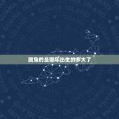 属兔的是哪年出生的多大了，属兔今年多大