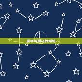 属牛与属马的婚姻，属牛和属马的相配吗