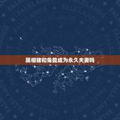 属相猪和兔能成为永久夫妻吗，属相兔子和猪配吗