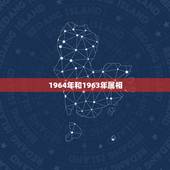 1964年和1963年属相，1964属龙与1963年属兔是生意伙伴好吗
