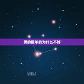 男的属羊的为什么不好，属兔一生爱情运