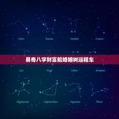 易奇八字财富船婚姻树运程车，婚姻树易奇八字财富船新浪