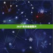 2021年风格的图片，2021年要火的设计趋势是什么？