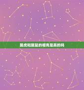 属虎和属鼠的相克是真的吗，属虎的人和属鼠的人相冲吗