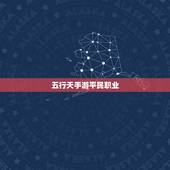 五行天手游平民职业，手游平民职业选