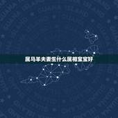 属马羊夫妻生什么属相宝宝好，属马和属羊的夫妻生一个什么属相的宝贝好