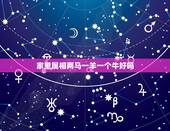 家里属相两马一羊一个牛好吗，请问属相中 马和牛合适么？